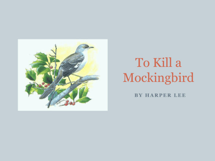 To kill a mockingbird literary terms