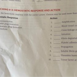 Matching 6 3 hemostatic response and action