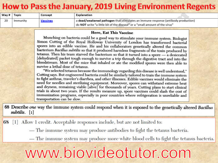 Jan 2019 living environment regents