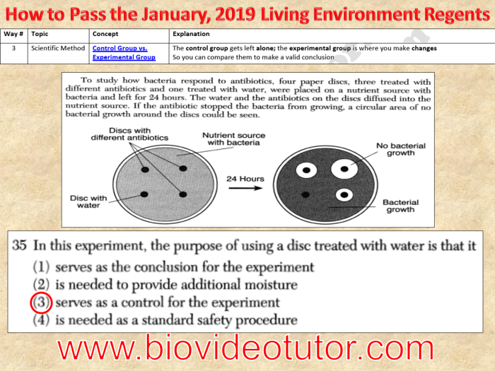 Jan 2019 living environment regents