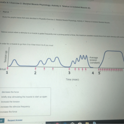 Physioex exercise 11 activity 2