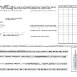 Catch the killer worksheet answer key pdf