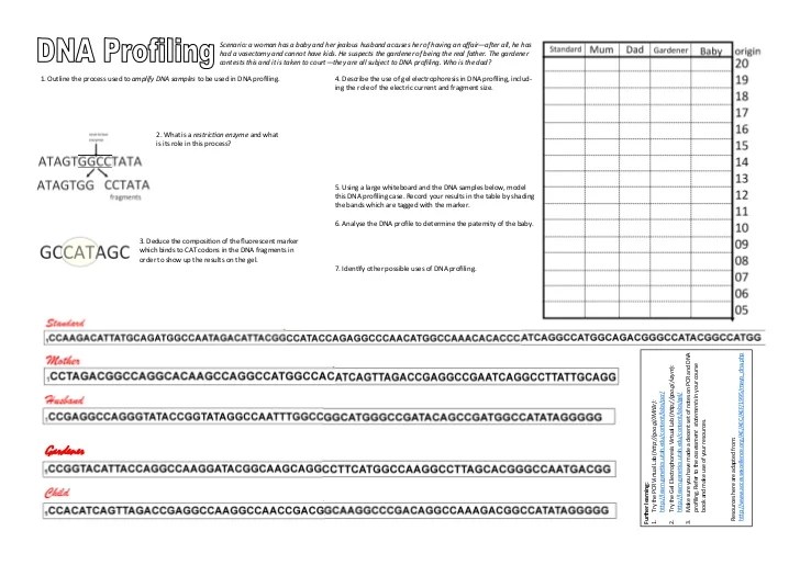 Catch the killer worksheet answer key pdf